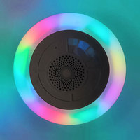 Haut-parleur Coranique Portable, Lecteur Audio Islamique avec Veilleuse LED, Projecteur d'Étoiles, Étanche, Fonctionnant sur Piles, Cadeau pour Enfants