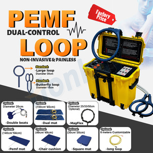 Appareil de thérapie magnétique PEMF portable à double commande, boucle PEMF, machine de soulagement de la douleur humaine, <span class=keywords><strong>Physica</strong></span> - Product Image 2