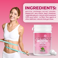 Amaz OEM ODM Gommes Minceur Coupe-Faim et Stimulant Métabolique, Complément Alimentaire Saveur Menthe