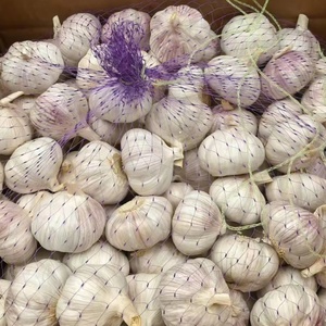 Fornitore di Aglio Fresco all'Ingrosso, Confezione da 10kg in Cartone, Aglio Bianco Normale da 5,5cm per Importatori, Fabbrica Cinese Ajo Ail - Product Image 2