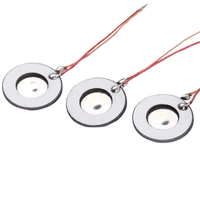 Placa Atomizadora Microporosa Soldada de Material Compuesto PZT-316L, Accesorio para Transductor Ultrasónico