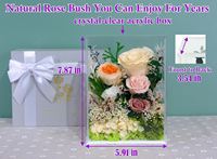 Fleurs éternelles, rose éternelle dans un cadre en acrylique, parfait pour la décoration de la maison, maman, épouse, petite amie pour un cadeau de fête des mères