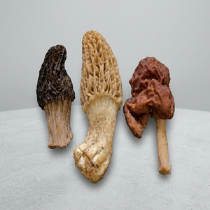 Moillons séchés Pure et naturels, provenant de l'inde - Product Image 1