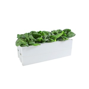 Macetas para Cultivo sin Suelo en Balcón, Equipo Hidropónico para Vegetales, Caja <span class=keywords><strong>de</strong></span> Cultivo para <span class=keywords><strong>Fresas</strong></span>, Macetas para Flores - Product Image 1