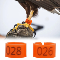 100 pièces multicolore Pigeon pied anneau en plastique caille oiseau Animal identification Snap-on pied Clip anneau avec numéro