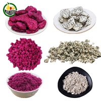 Hoogwaardige directe groothandelslevering kant-en-klare gezonde zoete gevriesdroogde paarse rode drakenvrucht veilige snack