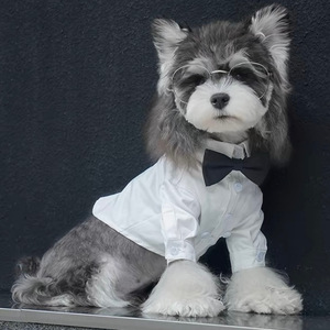 Corbata de lazo para mascotas, camisa blanca para perro, Bichón Frisé, Schnauzer, Maltés, ropa pequeña, traje, vestido, manga corta de verano - Product Image 1