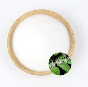 Extracto de planta orgánica de alta pureza, polvo de resveratrol, extracto de hierbas, polvo de resveratrol Natural - Product Image 3