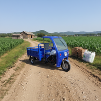 Tricycle motorisé à essence 200cc à 3 roues pour le transport de marchandises, haute capacité de charge, modèle 2026, idéal pour le Nigéria