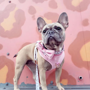 Conjunto de Arnés de Lujo para Perro de Terciopelo Kawaii con Correa a Juego, Impresión de Patrones Personalizados, Ajuste Ajustable, Clip de Metal Resistente - Product Image 2