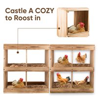 Nichoir à poules en bois à 4 compartiments, boîte à œufs pour poules, accessoire pour poulailler de jardin