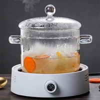 Olla de Cocina de Vidrio Borosilicato Transparente, Tamaño Grande, Popular, Apta para Estufa, con Doble Asa, Apta para Lavavajillas, Diseño Moderno
