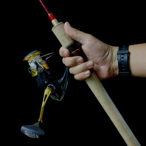 Canne à pêche à la ligne en fibre de carbone double section avec poignée en bois, pour la pêche en mer, la pêche en bord de mer, avec anneaux de guidage Fuji - Product Image 4