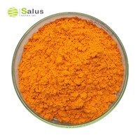 Capsules de curcumine de curcuma Supplément de curcumine de curcuma avec BioPerine 95% poivre noir pour une absorption maximale, soutien articulaire végétalien