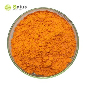 Viên nang CURCUMIN NGHỆ bổ sung CURCUMIN NGHỆ với bioperine 95% Hạt tiêu đen để hấp thụ tối đa, hỗ trợ khớp thuần chay - Product Image 4