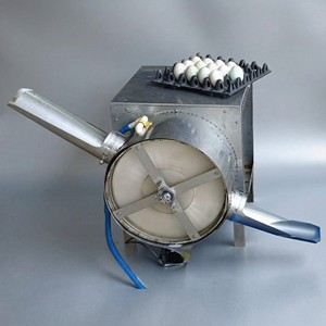 Lavadora de Huevos Compacta de Acero Inoxidable de 1 Carril, de 2000 a 2200 Huevos por Hora, Sistema Avícola Automático - Product Image 1