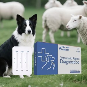 Bandelette de test pour chiens RapAnaplasma Lyme Ehrlichia, certifiée CE, facile à utiliser, kit de diagnostic vétérinaire pour usage canin - Product Image 5