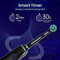 Brosse à dents électrique pour adultes en gros, rechargeable par USB, étanche, 5 modes, longue durée de vie de la batterie, brosse à dents rotative