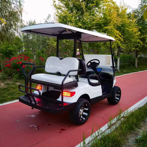 Scooter de Cuatro Ruedas Modelo E50 C, 4 Plazas, con Sensor Electrónico, Autonomía de 60-80 km, Batería de 21-30 Ah, Velocidad de 21-30 km/h, Unisex, HKGB-Golf-4 - Product Image 6