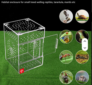 Nuevos Recintos <span class=keywords><strong>de</strong></span> Acrílico para Tarántulas, Casetas <span class=keywords><strong>de</strong></span> Cría <span class=keywords><strong>de</strong></span> Reptiles, Criaderos <span class=keywords><strong>de</strong></span> Arañas con Techo, Venta al por Mayor para Profesionales <span class=keywords><strong>de</strong></span> la Serología - Product Image 3