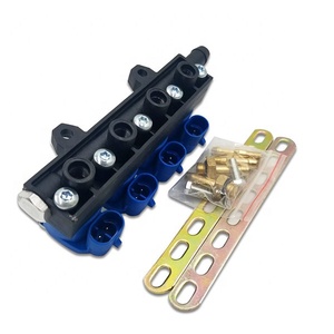 4 cilindros 3 ohm <span class=keywords><strong>2</strong></span> ohm de gas LPG inyector del carril para GLP - Product Image 1
