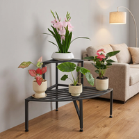 Support de plantes d'angle pour l'extérieur en fer, étagère échelle robuste à 2 niveaux pour plusieurs plantes, design traditionnel thermolaqué