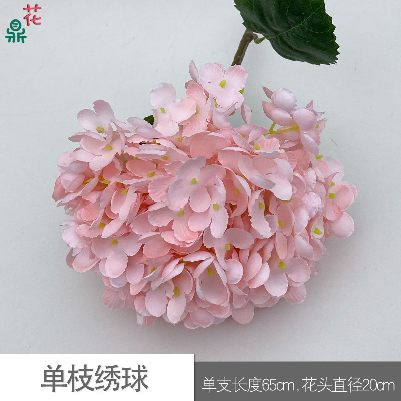 Hydrangée simple (WZT) Rose