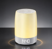 Machine à bruit blanc pour le sommeil, haut-parleur, veilleuse RGB, contrôle via application, télécommande, minuterie, horloge pour la maison et l'hôtel