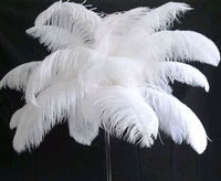 Costume de Carnaval d'Art Réel en Vrac de 35 à 50cm Grandes Plumes Violettes Plume de Chapellerie Plume d'Autruche Blanche pour la Décoration de Mariage