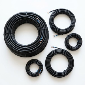 Câble de commande RVV à double conducteur 2 AWG en cuivre flexible avec gaine isolante en PVC 300V pour câblage d'équipements électriques CN - Product Image 1