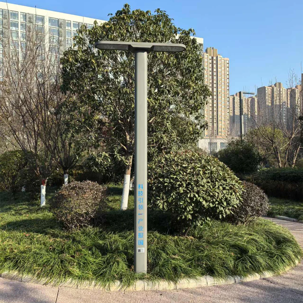 High Efficiency IP65 LED Solar Street Light All in One PV Panel Lithium Battery for Garden and Outdoor Parking Lighting