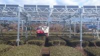Soportes de Montaje para Paneles Solares en Terrenos Agrícolas, Estructuras de Acero Galvanizado en Caliente, Ideales para Campos Agrícolas, al Mejor Precio