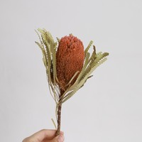 Bunga Buket Buxus Kering Pink King Berkualitas Tinggi untuk Rangkaian Bunga dan Acara Pesta YNWYH
