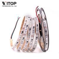Bande LED étanche en cuivre WITOP Pixel Light WS2811 SMD5050 RGB IP67 48 LED/m adressable 12V avec télécommande pour aménagement paysager 5M