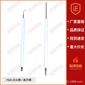 Électrode d'allumage Riello FS10/GS10 et sonde d'allumage FS20/GS20 (tige ionique) pour équipement de chauffage - Product Image 2
