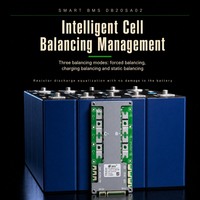 Système de gestion de batterie intelligent JBD Smart BMS OH20SA01 7S-20S LiFePO4 Li-ion 80A-200A 48V 60V 72V UART RS485 CAN pour véhicule à basse vitesse