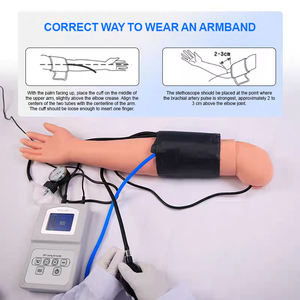 ADA HS7 Model anatomi canggih untuk pengukuran tekanan darah pelatihan kehidupan ukuran PVC Simulator sains medis - Product Image 4