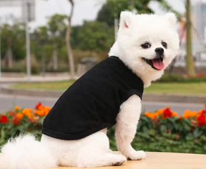 เสื้อสวมหัวสุนัขแบบคลาสสิกเสื้อยืดสีขาวสำหรับสัตว์เลี้ยงผ้าบางเนื้อแข็ง - Product Image 6