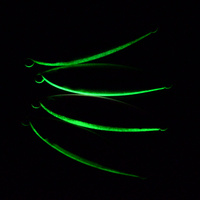 Leurre de pêche lumineux TOPLURE Factory 40g-100g, jig métallique à lancer lent pour la pêche en haute mer, fabriqué au Japon en plomb
