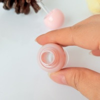 Großhandel OEM & ODM Private Label Lipliner und Lipgloss-Tube 3ml 4ml 5ml Runde Gradient Rosa Lipgloss-Tube