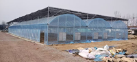 Serre de grande taille à prix d'usine, serre multispan personnalisée, serre multispan en plastique durable, qualité supérieure, vente chaude