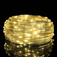 Neue Weihnachtslichter Led Led-Lederlinienlichter Indoor-Outdoor-Wasserdichte Lampe mit Fernbedienung