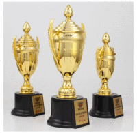Prix d'artisanat créatif en plastique personnalisés avec couvercle pour décorations Trophée pour petits enfants en gros