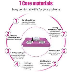 Échantillon Disponible: Couverture de Sauna Amincissante Électrique pour la Beauté, Perte de Poids, Thérapie de Détoxification – Prises UE/US - Product Image 3