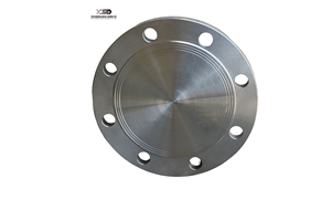 Фланец глухой кованый ASME B16.5, высоконапорный, класс 150-2500, 0.5"-24", из нержавеющей стали/железосодержащего сплава <span class=keywords><strong>ASTM</strong></span> A182 F304/F316, полированный - Product Image 2