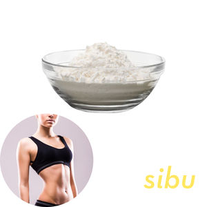 Suplemento de soporte metabólico de alta calidad Sibu Powder Keto-Friendly Diet Suplemento DE SALUD Sibu Powder - Product Image 1