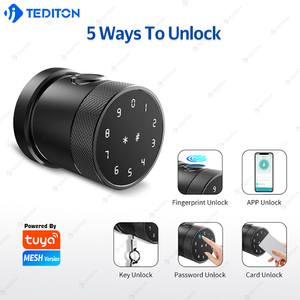 Tediton Smart <strong>Door</strong> <strong>Knob</strong> with App <strong>Door</strong> Lock Brass <strong>Copper</strong> Bedroom Hotel Lock Electronic Hotel <strong>Door</strong> Lock Electronic Best - Product Image 3