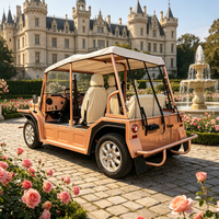 Voiture électrique Moke Beach Buggy 4 places, nouvelle conception, batterie lithium, certifiée EEC, 96V, version originale.