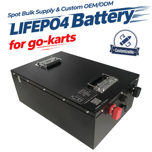 Paket Baterai LiFePO4 Pengisian Cepat 48V 60V 72V 30Ah 50Ah 60Ah 100Ah untuk Birel ART E-Kart Balap Go Kart Listrik - Product Image 1