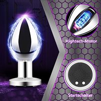 Großhandel Kabelloser Ferngesteuerter Edelstahl-Vibrator Anal-Butt-Plug Prostata-Massagegerät 100% Wasserdicht Schwarze Geschenkbox Spielzeug